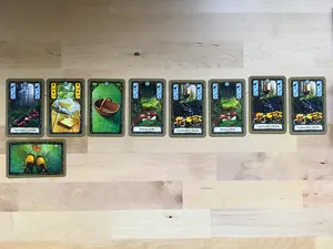 the forest line of cards