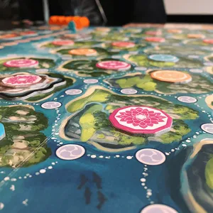 game board in detail